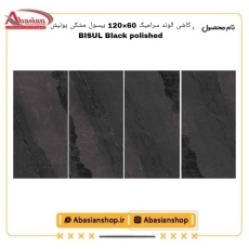 bisul-60x120-bk-pol-alv