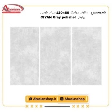 ciyan-60x120-gr-pol-alv