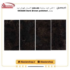 oxidan-60x120-dbr-pol-alv