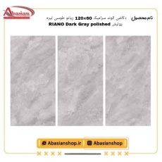 riano-60x120-dg-pol-alv