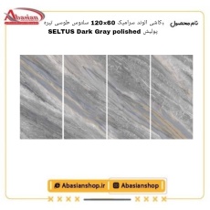seltus-60x120-dg-pol-alv