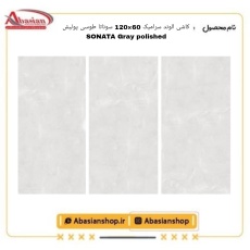 sonata-60x120-gr-pol-alv_1641518208