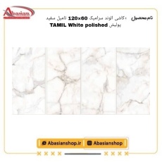 tamil-60x120-wh-pol-alv