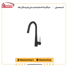 شیر آشپزخانه شاوری شودر مدل ایتن مشکی طلا