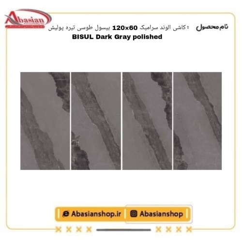 bisul-60x120-dg-pol-alv