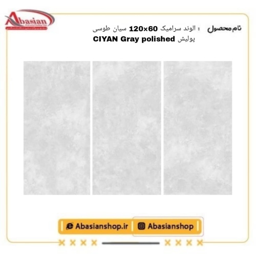 ciyan-60x120-gr-pol-alv