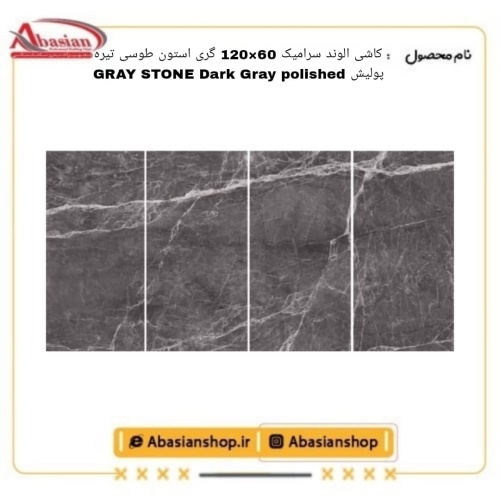 graystone-60x120-dg-pol-alv
