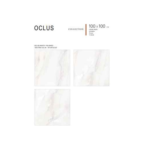 oclus-pol-alv1