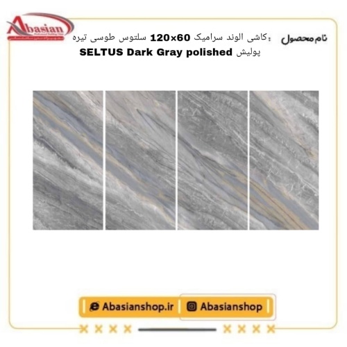seltus-60x120-dg-pol-alv