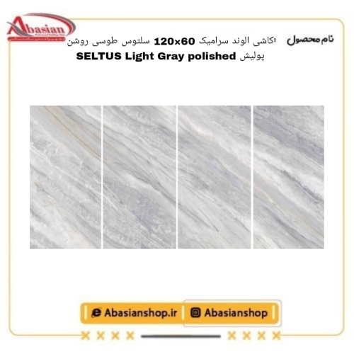 seltus-60x120-lg-pol-alv