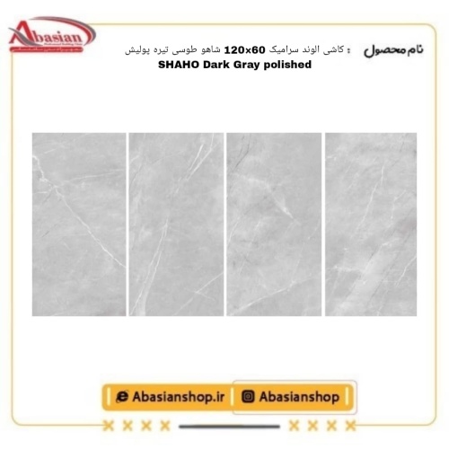 shaho-60x120-dg-pol-alv