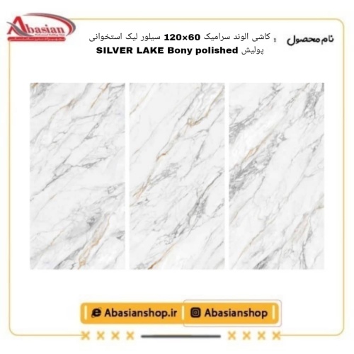 silverlake-60x120-bn-pol-alv