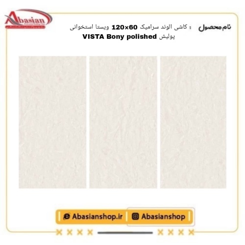 vista-60x120-bn-pol-alv